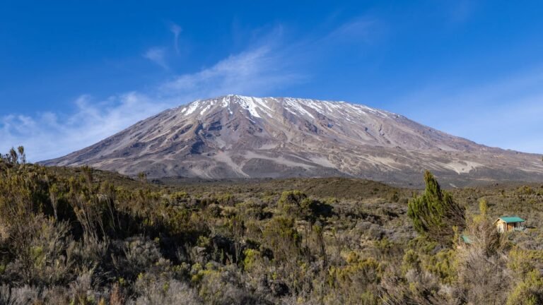 ElitePencil Travel and Tour Website (2)