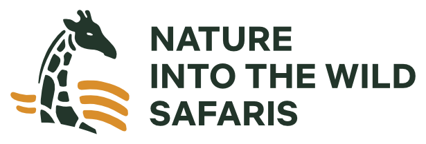 Nature Into the Wild Safaris